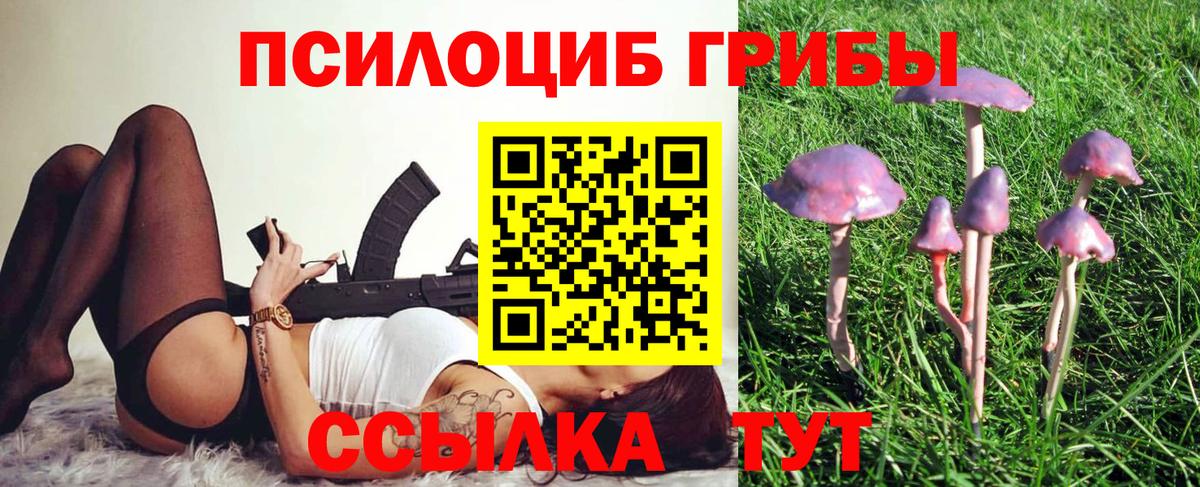 Псилоцибиновые грибы MAGIC MUSHROOMS Новоуральск