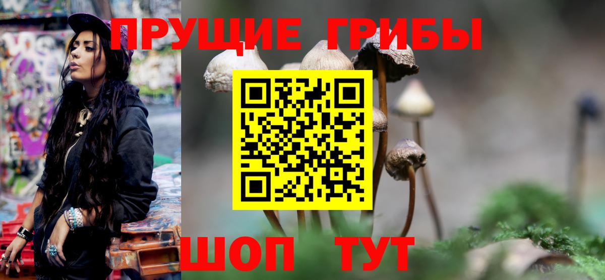 Новоуральск  Псилоцибиновые грибы GOLDEN TEACHER  Вход с VPN 
